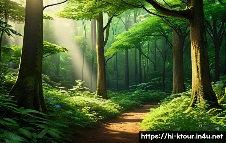 강원도 오대산 비로봉 등산 - A dense, lush forest in Odaisan showcasing a variety of rare and ancient plant species, including ta...